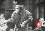Image of chimpanzee Stuttgart Germany, 1960, second 41 stock footage video 65675058268