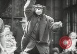 Image of chimpanzee Stuttgart Germany, 1960, second 42 stock footage video 65675058268