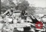 Image of chimpanzee Stuttgart Germany, 1960, second 46 stock footage video 65675058268