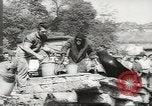Image of chimpanzee Stuttgart Germany, 1960, second 47 stock footage video 65675058268
