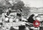 Image of chimpanzee Stuttgart Germany, 1960, second 48 stock footage video 65675058268
