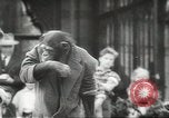 Image of chimpanzee Stuttgart Germany, 1960, second 57 stock footage video 65675058268
