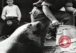 Image of chimpanzee Stuttgart Germany, 1960, second 58 stock footage video 65675058268
