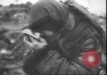 Image of German atrocities against Soviet citizens Soviet Union, 1943, second 8 stock footage video 65675058272