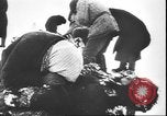 Image of German atrocities against Soviet citizens Soviet Union, 1943, second 14 stock footage video 65675058272