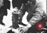 Image of German atrocities against Soviet citizens Soviet Union, 1943, second 19 stock footage video 65675058272