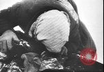 Image of German atrocities against Soviet citizens Soviet Union, 1943, second 25 stock footage video 65675058272