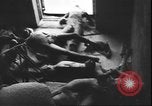 Image of German atrocities against Soviet citizens Soviet Union, 1943, second 31 stock footage video 65675058272