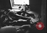 Image of German atrocities against Soviet citizens Soviet Union, 1943, second 32 stock footage video 65675058272