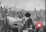 Image of Battle of Leningrad fought by Russian civilians and military Soviet Union, 1943, second 3 stock footage video 65675058273