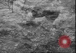 Image of Spring in Leningrad following Siege by Germany Leningrad Russia Soviet Union, 1943, second 3 stock footage video 65675058278