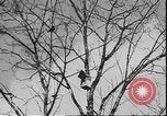 Image of Spring in Leningrad following Siege by Germany Leningrad Russia Soviet Union, 1943, second 8 stock footage video 65675058278