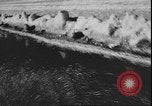 Image of Spring in Leningrad following Siege by Germany Leningrad Russia Soviet Union, 1943, second 28 stock footage video 65675058278