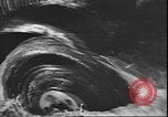 Image of Spring in Leningrad following Siege by Germany Leningrad Russia Soviet Union, 1943, second 39 stock footage video 65675058278