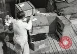 Standbild Schwedisches Schiff M S Gripsholm Jersey City New Jersey USA, 1943, aus Sekunde 45 historischem Filmmaterial Videoclip 65675058285