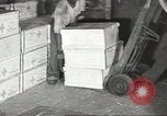 Standbild der amerikanische Offizier New York United States USA, 1943, aus Sekunde 4 historischem Filmmaterial Videoclip 65675058289