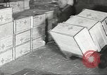 Standbild der amerikanische Offizier New York United States USA, 1943, aus Sekunde 9 historischem Filmmaterial Videoclip 65675058289