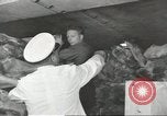 Standbild Schwedisches Schiff M S Gripsholm Jersey City New Jersey USA, 1943, aus Sekunde 9 historischem Filmmaterial Videoclip 65675058291