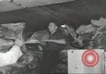 Standbild Schwedisches Schiff M S Gripsholm Jersey City New Jersey USA, 1943, aus Sekunde 17 historischem Filmmaterial Videoclip 65675058291