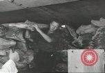 Standbild Schwedisches Schiff M S Gripsholm Jersey City New Jersey USA, 1943, aus Sekunde 18 historischem Filmmaterial Videoclip 65675058291