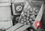 Image of S M Gripsholm ocean liner Jersey City New Jersey USA, 1943, second 62 stock footage video 65675058292