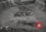 Image of Maidanek or Majdanek concentration camp Lublin Poland, 1944, second 28 stock footage video 65675058293