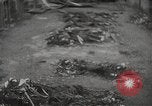 Image of Maidanek or Majdanek concentration camp Lublin Poland, 1944, second 29 stock footage video 65675058293