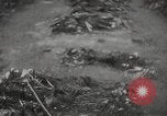 Image of Maidanek or Majdanek concentration camp Lublin Poland, 1944, second 30 stock footage video 65675058293