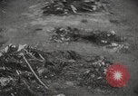 Image of Maidanek or Majdanek concentration camp Lublin Poland, 1944, second 31 stock footage video 65675058293