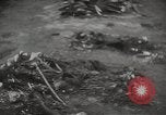 Image of Maidanek or Majdanek concentration camp Lublin Poland, 1944, second 32 stock footage video 65675058293