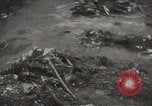 Image of Maidanek or Majdanek concentration camp Lublin Poland, 1944, second 33 stock footage video 65675058293