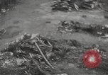 Image of Maidanek or Majdanek concentration camp Lublin Poland, 1944, second 34 stock footage video 65675058293