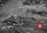 Image of Maidanek or Majdanek concentration camp Lublin Poland, 1944, second 35 stock footage video 65675058293