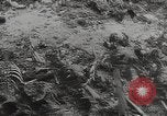 Image of Maidanek or Majdanek concentration camp Lublin Poland, 1944, second 49 stock footage video 65675058293