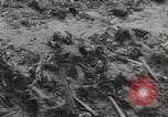Image of Maidanek or Majdanek concentration camp Lublin Poland, 1944, second 50 stock footage video 65675058293