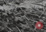 Image of Maidanek or Majdanek concentration camp Lublin Poland, 1944, second 51 stock footage video 65675058293