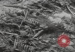 Image of Maidanek or Majdanek concentration camp Lublin Poland, 1944, second 53 stock footage video 65675058293