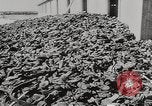 Image of Majdanek concentration camp Lublin Poland, 1944, second 37 stock footage video 65675058294