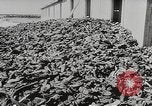 Image of Majdanek concentration camp Lublin Poland, 1944, second 39 stock footage video 65675058294