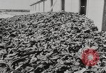 Image of Majdanek concentration camp Lublin Poland, 1944, second 40 stock footage video 65675058294