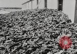 Image of Majdanek concentration camp Lublin Poland, 1944, second 42 stock footage video 65675058294