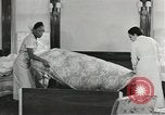 Image of African American job training in Great Depression United States USA, 1937, second 39 stock footage video 65675058301
