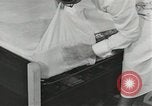 Image of African American job training in Great Depression United States USA, 1937, second 43 stock footage video 65675058301