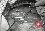 Image of artificial heart United States USA, 1966, second 54 stock footage video 65675058302