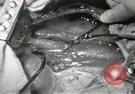 Image of artificial heart United States USA, 1966, second 55 stock footage video 65675058302