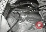 Image of artificial heart United States USA, 1966, second 57 stock footage video 65675058302