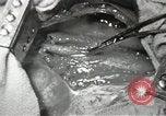 Image of artificial heart United States USA, 1966, second 58 stock footage video 65675058302