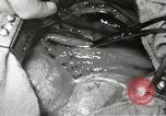 Image of artificial heart United States USA, 1966, second 60 stock footage video 65675058302
