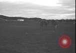 Standbild belgische Soldaten Leopoldville Republik Kongo, 1964, aus Sekunde 13 historischem Filmmaterial Videoclip 65675058315