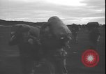 Standbild belgische Soldaten Leopoldville Republik Kongo, 1964, aus Sekunde 19 historischem Filmmaterial Videoclip 65675058315
